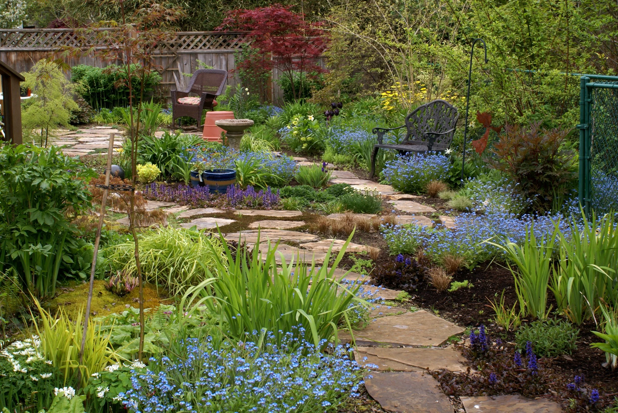 Backyard Habitat — Friends of Tryon Creek - Tryon Creek State